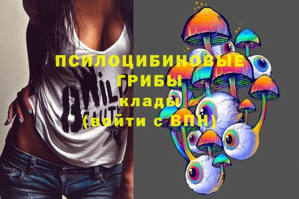 apvp Аркадак