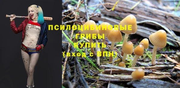 каннабис Армянск
